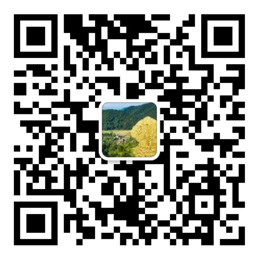 彩神Iv首页